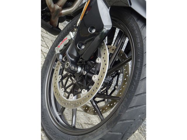 triumph - tiger-900-gt-pro