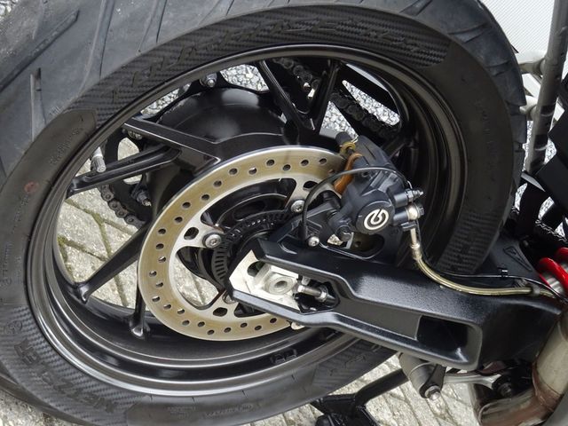 triumph - tiger-900-gt-pro