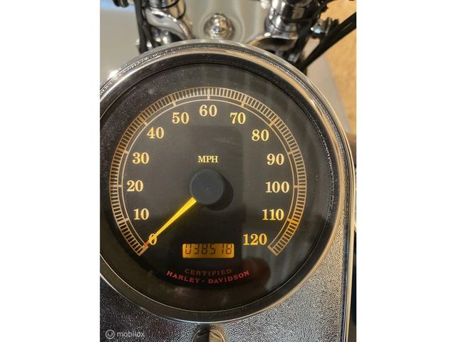 harley-davidson - springer-flsts-softail