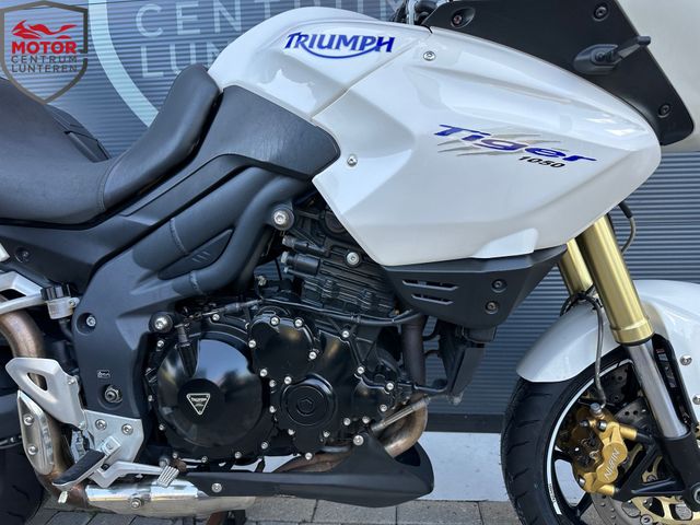 triumph - tiger-1050-abs