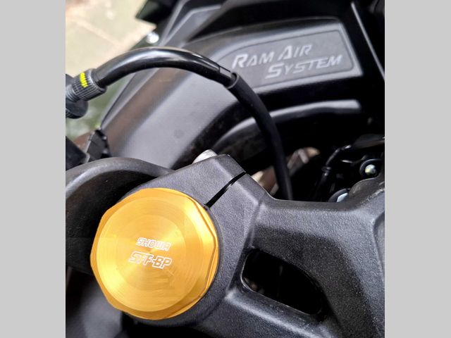 kawasaki - ninja-zx-4r