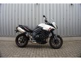 TRIUMPH TIGER 1050 SPORT