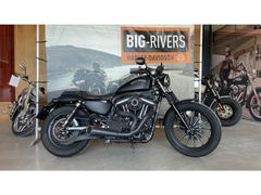 HARLEY-DAVIDSON SPORTSTER IRON XL 883 N