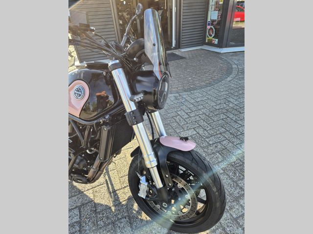 benelli - leoncino-500