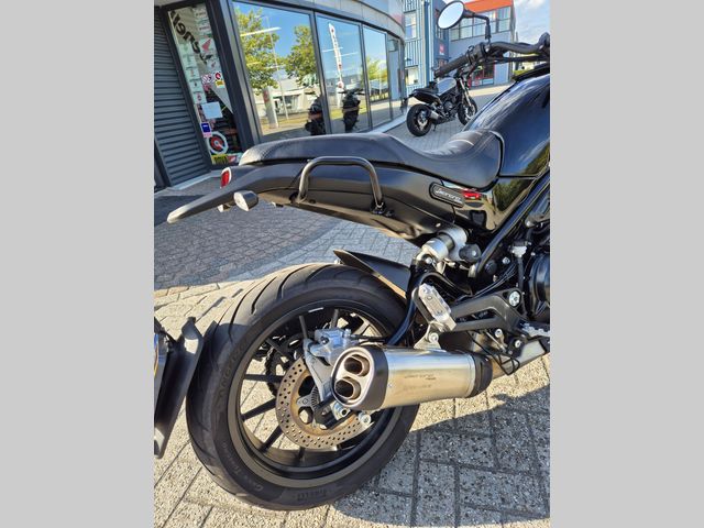 benelli - leoncino-500