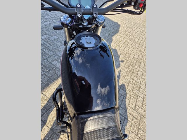 benelli - leoncino-500