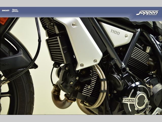 ducati - scrambler-1100-pro