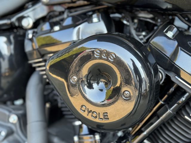 harley-davidson - street-bob-107