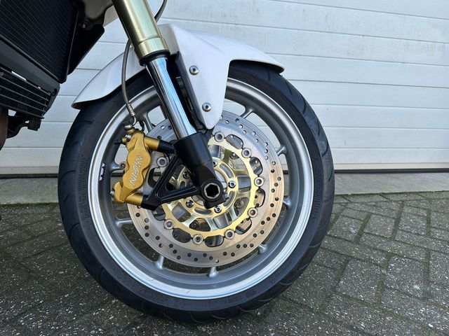 triumph - tiger-1050-abs