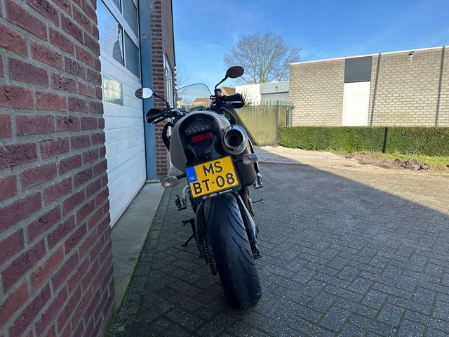 triumph - tiger-1050-abs