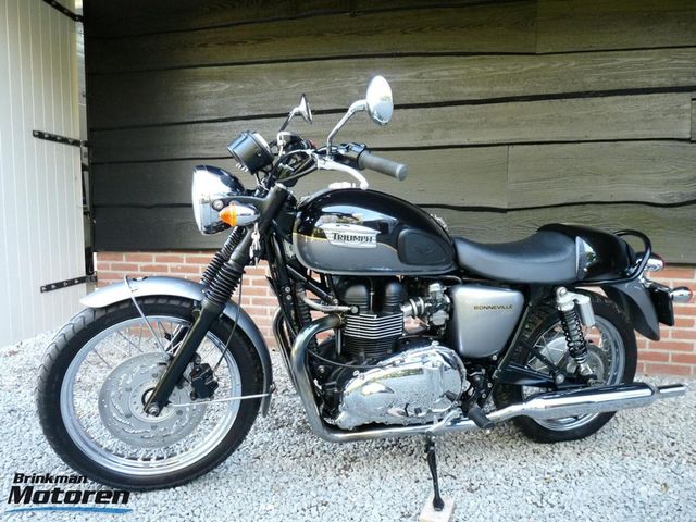 triumph - bonneville-t-100