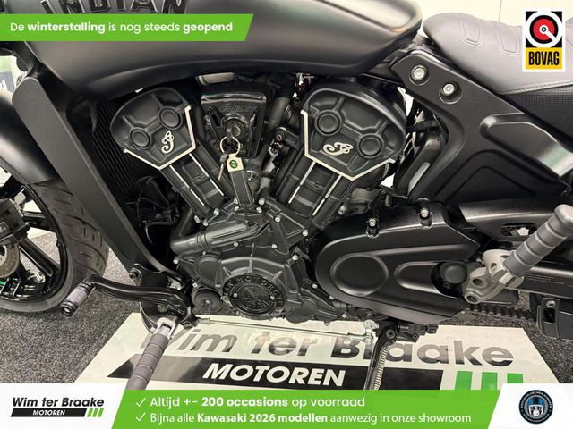 indian - scout-rogue