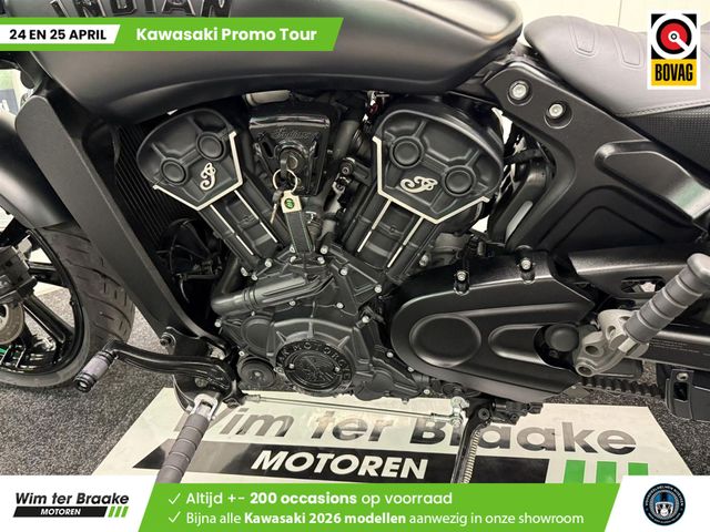 indian - scout-rogue