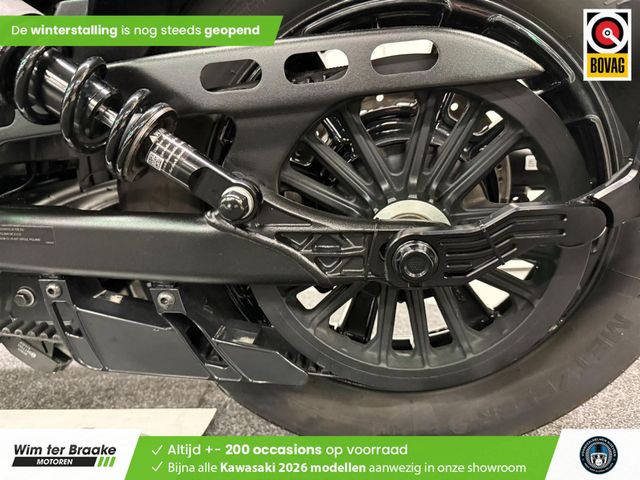 indian - scout-rogue