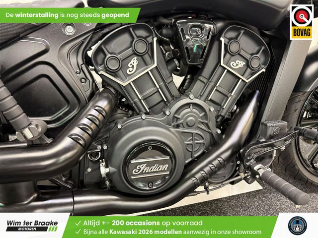 indian - scout-rogue