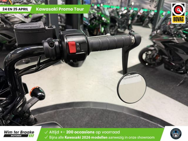 indian - scout-rogue