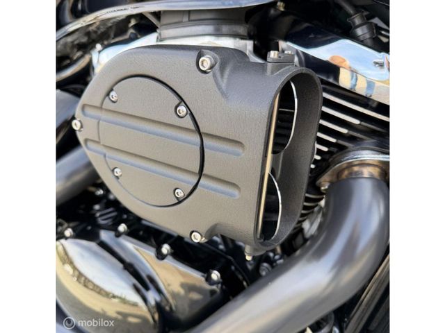 suzuki - 800-intruder