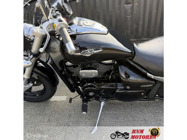 suzuki - new-intruder-m-800