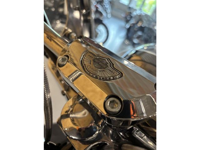 harley-davidson - heritage-softail-classic-103-flstc