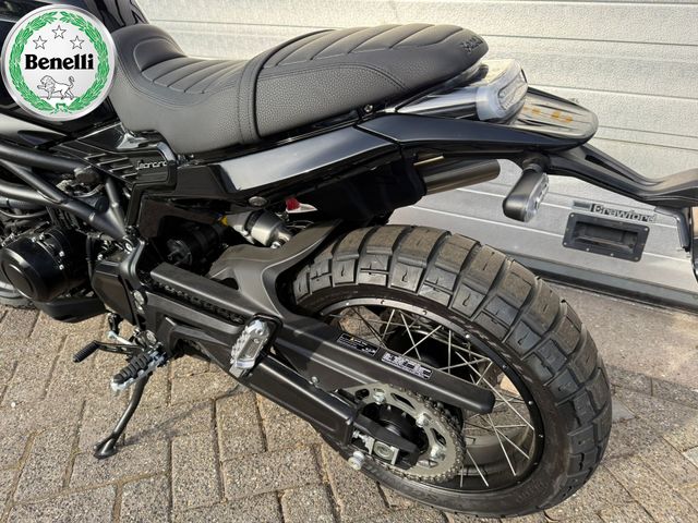 benelli - leoncino-800-trail