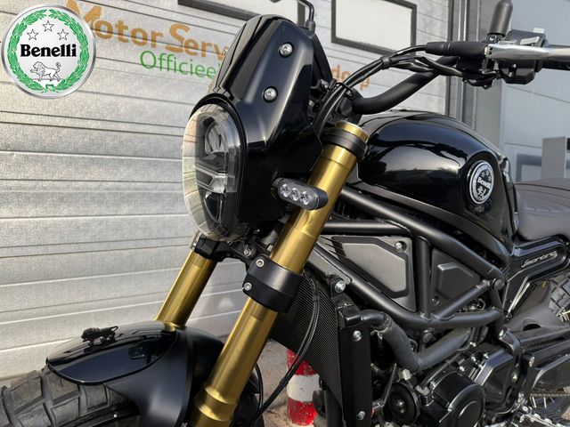 benelli - leoncino-800-trail