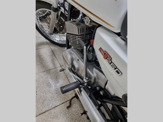suzuki - gt-250