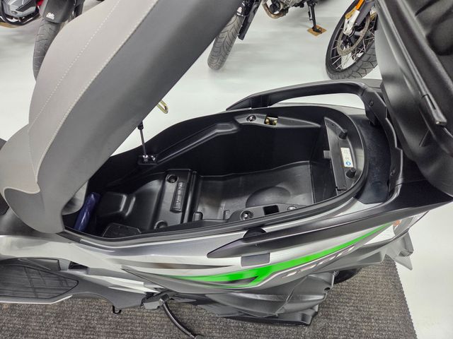 kawasaki - j-300-special-edition