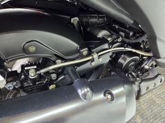 Kawasaki J 300 Special Edition 2017 occasion – foto 12 van 22