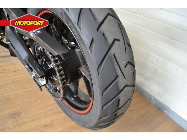 triumph - tiger-900-gt-pro