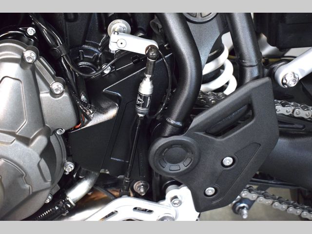 triumph - tiger-900-rally-pro