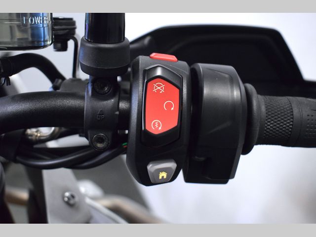 triumph - tiger-900-rally-pro