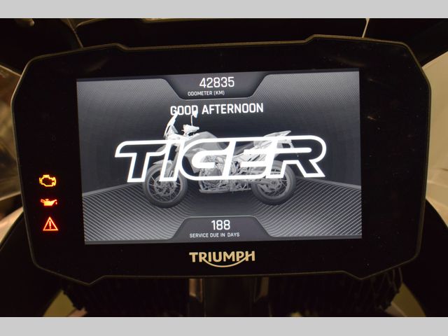 triumph - tiger-900-rally-pro