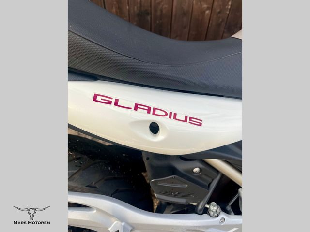 suzuki - gladius