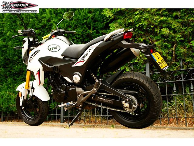 honda - monkey-z-125