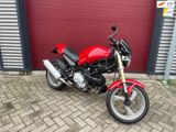 DUCATI MONSTER