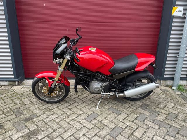 ducati - monster