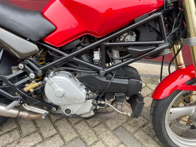 ducati - monster