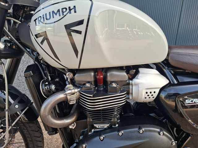 triumph - scrambler-1200-x
