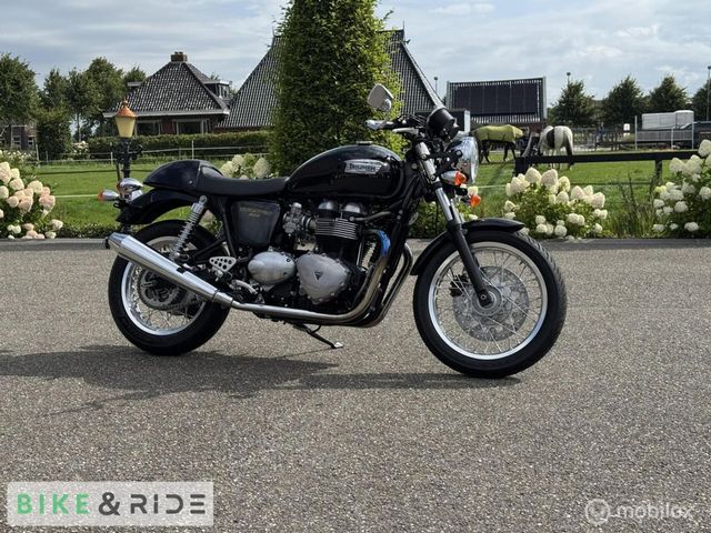 triumph - thruxton-900
