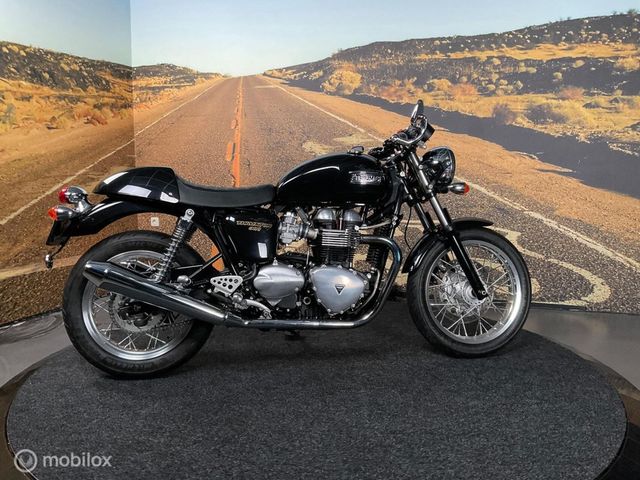 triumph - thruxton-900