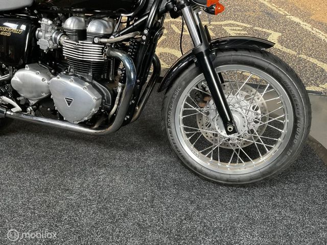 triumph - thruxton-900