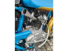Ducati 125 sport 1958 occasion – foto 10 van 14