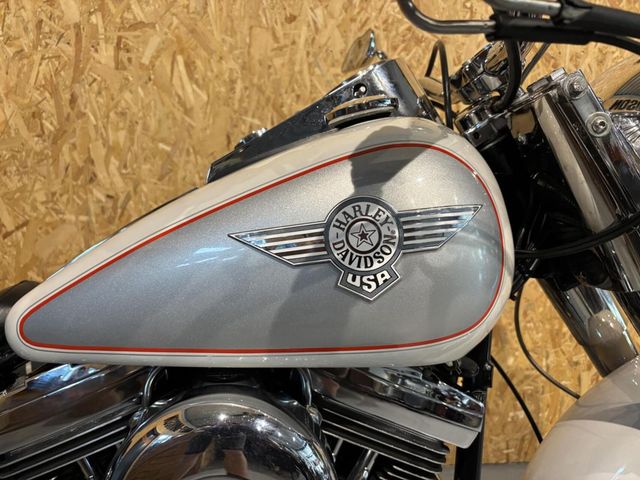 harley-davidson - nostalgia-softail-special-flstn