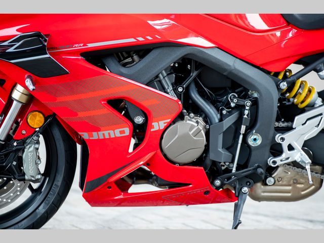 QJMOTOR - srk-800-rr