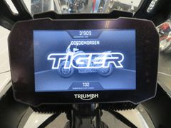 Triumph Tiger 900 GT Nieuwstaat! TOP-Case 2021 occasion – foto 10 van 13