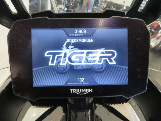 triumph - tiger-900-gt