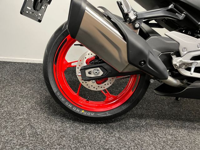 cfmoto - 450-sr
