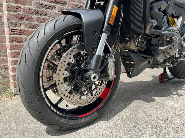 ducati - monster