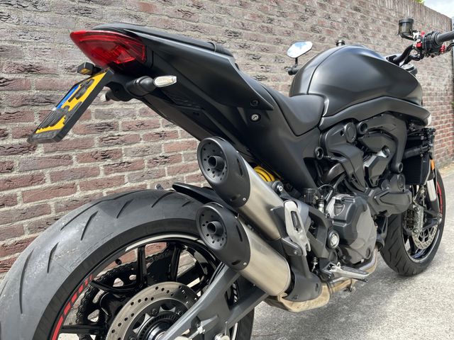 ducati - monster