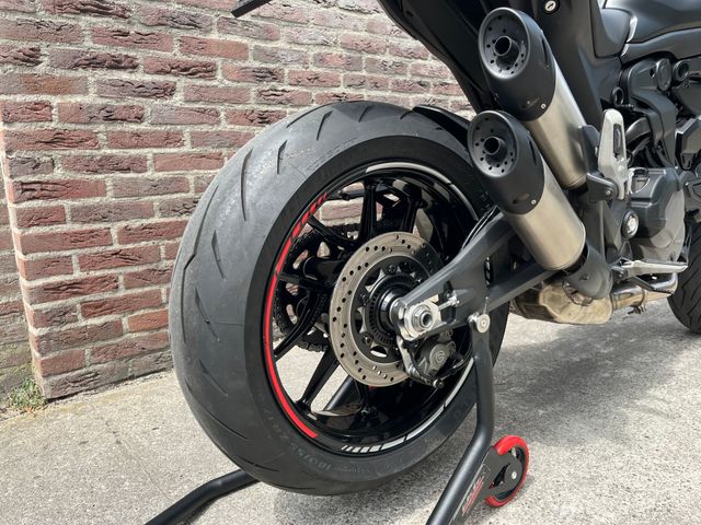 ducati - monster